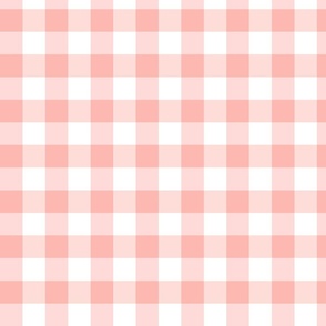 Peachy Pink Gingham Check Picnic Blanket Small