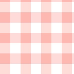 Peachy Pink Gingham Check Picnic Blanket Large