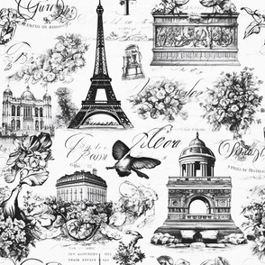 Antique France Toile black and white