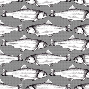  Hand drawn trout on textured background in black and white