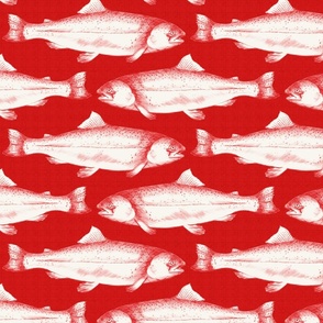 Hand drawn trout on red structured background  