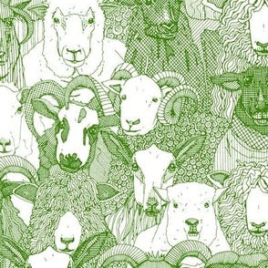 just sheep parsley green white