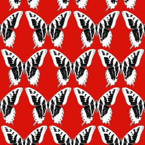 small electric butterfly fleet black and white on engine red