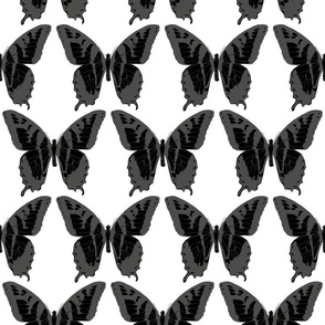 small electric butterfly fleet gray and black on white