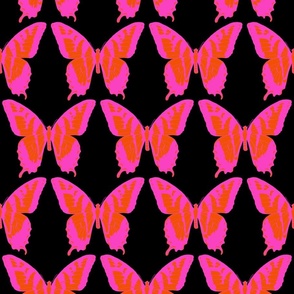 small electric butterfly fleet hot pink and poppy red on black