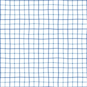 1" hand drawn grid/blues