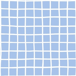 2" hand drawn grid/white on blue