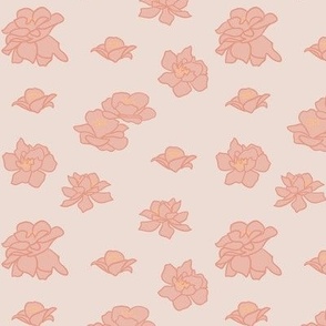 Camellia Blush Flowers on Beige Background