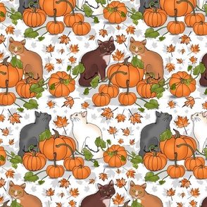 Kitty Cat Pumpkin Patch (Cloud White)