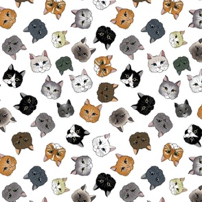 Kitty Cat Polka Dots 