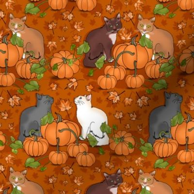 Kitty Cat Pumpkin Patch (Orange small scale)