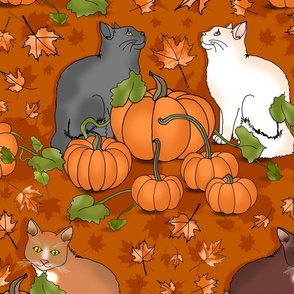 Kitty Cat Pumpkin Patch (Orange large scale)