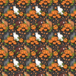 Kitty Cat Pumpkin Patch (Gray Day small scale)