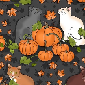 Kitty Cat Pumpkin Patch (Gray Day large scale)