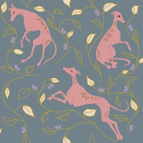 Elegant Pink Greyhound with yellow and purple petals 