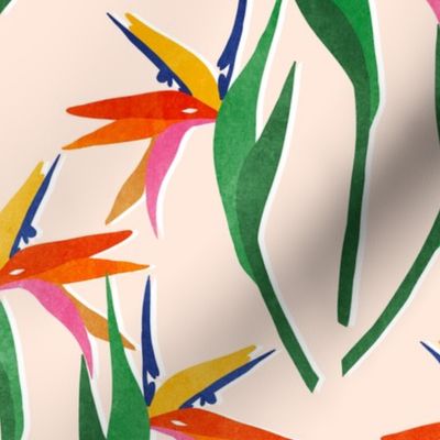 Bird of paradise cream background 