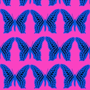 medium butterfly soldiers classic blue and black on hot pink