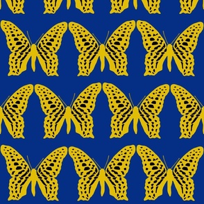 medium butterfly soldiers dijon yellow and black on royal blue