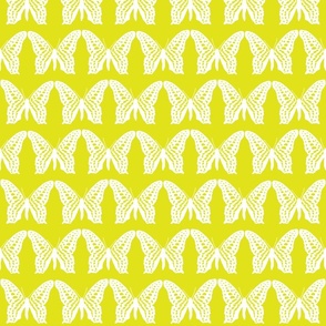 small butterfly soldiers white on lime