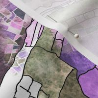 Aerial view map - purple
