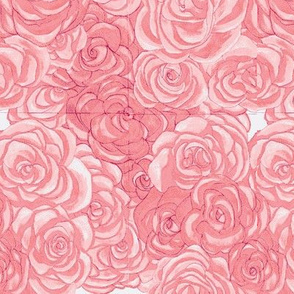 roses_full- pink