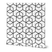 Hexagon trellis - black on white