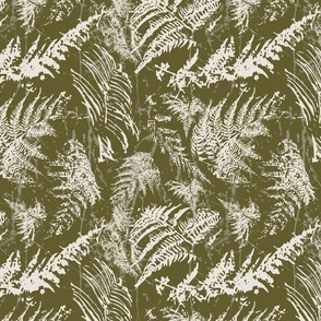 Modern Abstract Monochrome, Forest Ferns, Olive Green and White, Medium