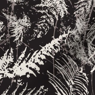 Dark Fern Botanical, Black and White, Coastal Minimalist Nature, medium