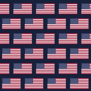American Flag horizontal small
