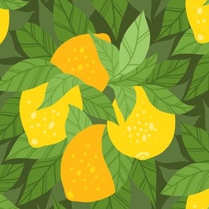 Lemons and foliage