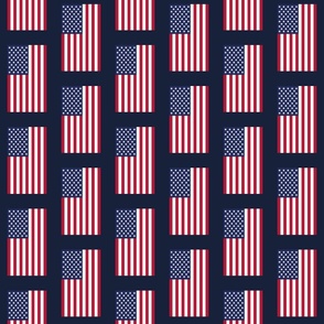 American Flag vertical small