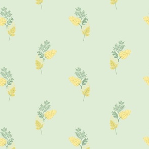 Mimosa pale olive green