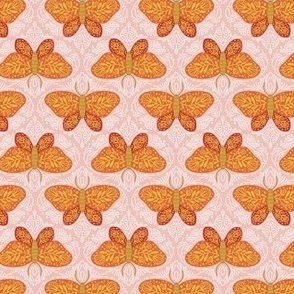 Small Butterfly Ogee in Orange on Pink