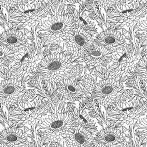 Hand-drawn Black And White Daisies