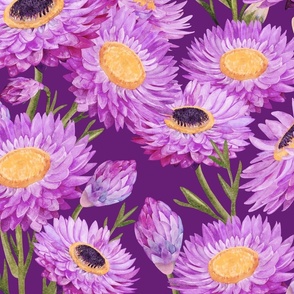 Watercolor Purple Daisies