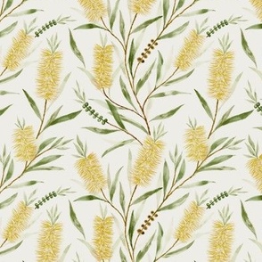 Small Watercolor Australian Yellow Bottle Brush Flowers with Dulux Casper White Quarter Background