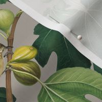 Figs & Birds - Medium - Gray / Grey