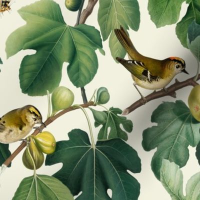 Figs & Birds - Medium - White