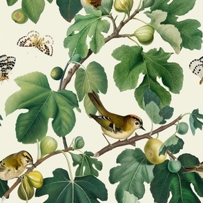 Figs & Birds - Medium - White