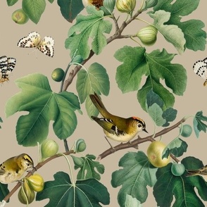 Figs & Birds - Medium - Tan Gray Brown