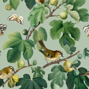 Figs & Birds - Medium - Light Green