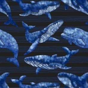 Textured Blue Whales | Dark striped background