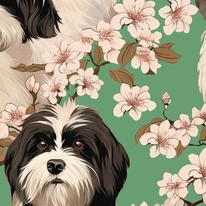 Tibetan terrier cherry blossom green