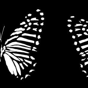 large butterfly flight white on black