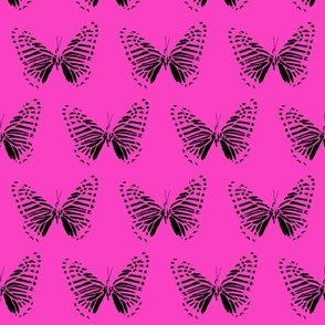 small butterfly flight black on hot pink