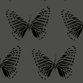 medium butterfly flight black on gray