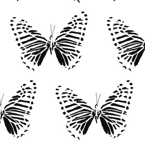 medium butterfly flight black on white