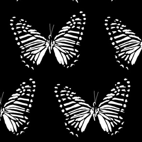 medium butterfly flight white on black