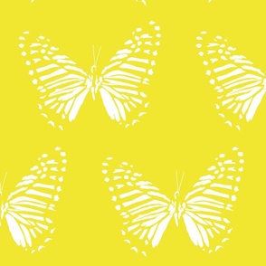 medium butterfly flight white on lemon yellow
