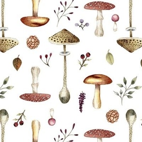 Vintage watercolor mushrooms white